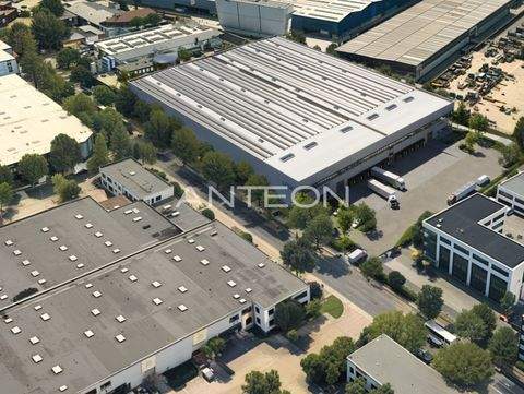 Ratingen Halle, Ratingen Hallenfläche