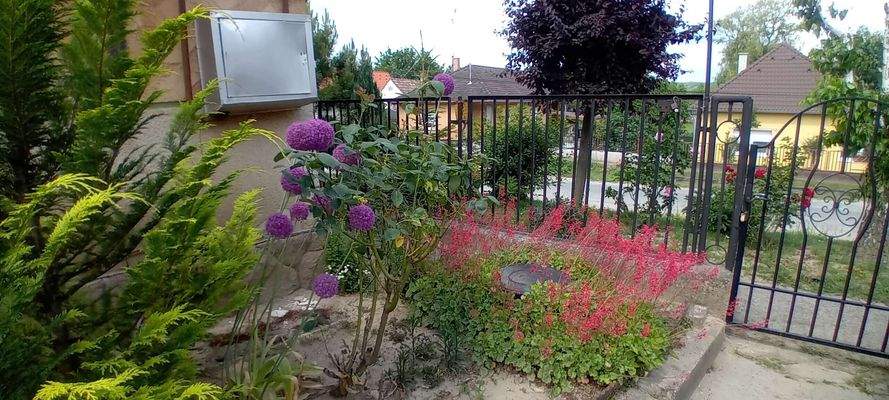 3 20240526_150735.jpg