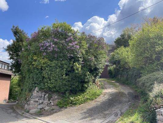 Auffahrt zum Grundstück