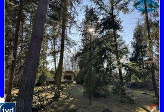 Blick von der Straße auf das Grundstück