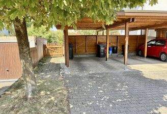 Carport und Zugang zum Garten