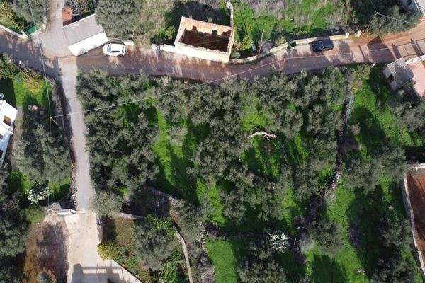 Kreta, Kokkino Chorio: Eckgrundstück in der Nähe des Dorfes und der Einkaufsmöglichkeiten zu verkaufen