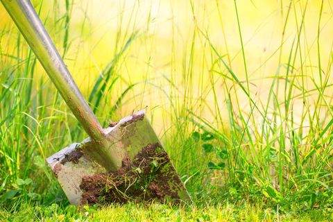 Gundelsheim Grundstücke, Gundelsheim Grundstück kaufen