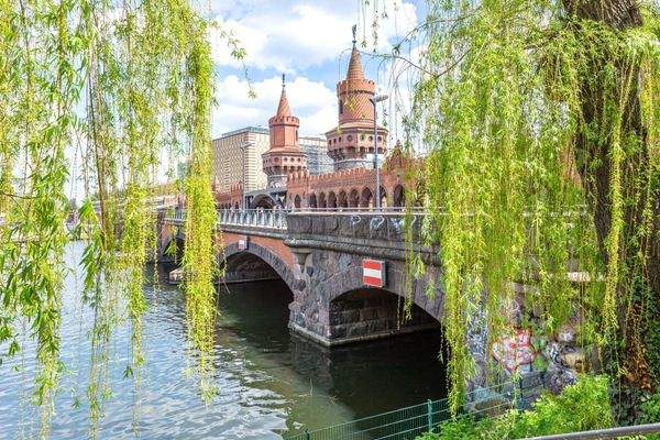 backbone_41671_024_WEB