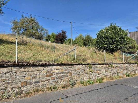 Blick auf das Grundstück