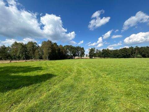 Bispingen Bauernhöfe, Landwirtschaft, Bispingen Forstwirtschaft