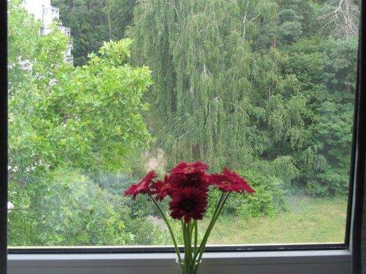 Blick aus dem Schlafzimmer