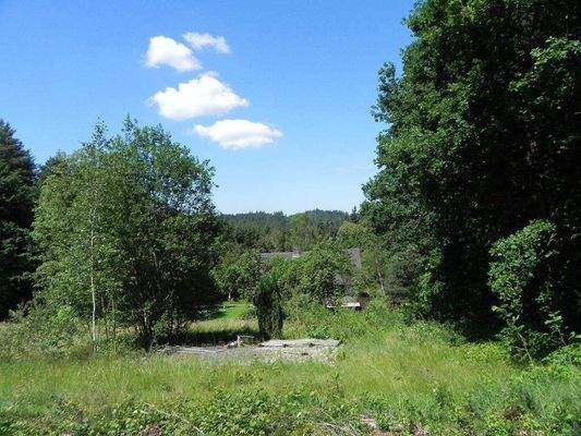 (2022) Blick vom Grundstück nach W