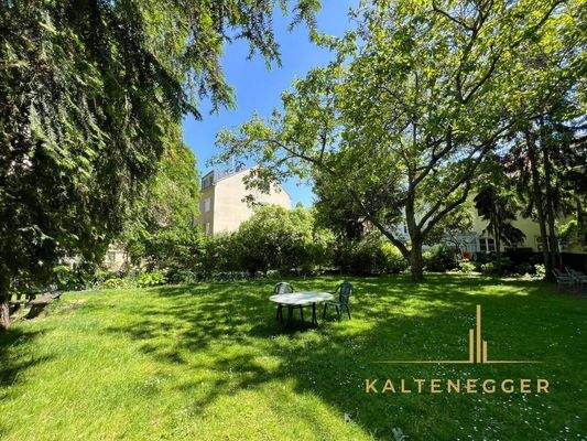 Großer Garten - kann von Bewohnern genutzt werden zum Sitzen und Lesen