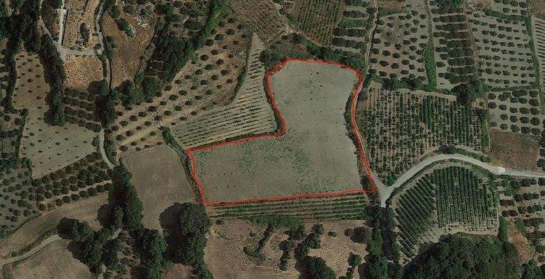 Kreta, Archanes: Großes Baugrundstück zu verkaufen