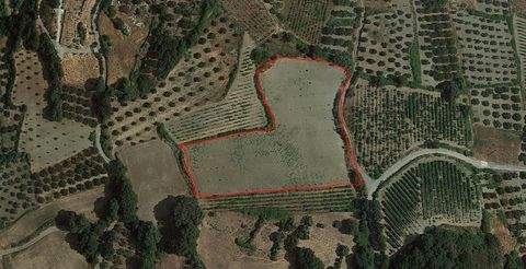 Archanes Grundstücke, Archanes Grundstück kaufen