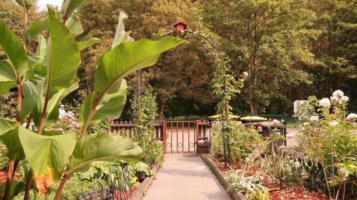 Blick vom Grundstück in den Park