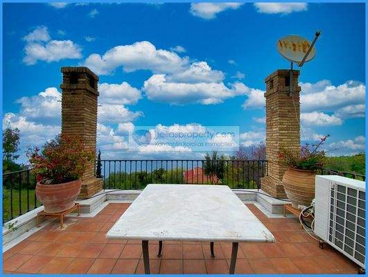 13526d9439784161a2b7d304d9194cf8-original