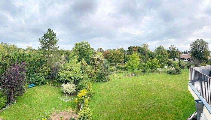 Blick in die Rheinauen.jpg