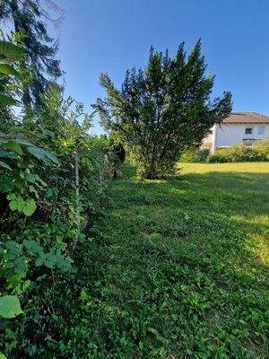 Blick Richtung Strasse.jpg