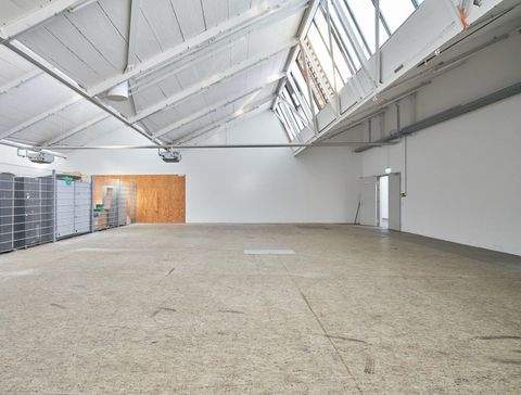 Mannheim Halle, Mannheim Hallenfläche