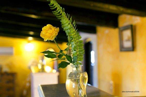 Villa For Sale in Samonas village 4.jpg