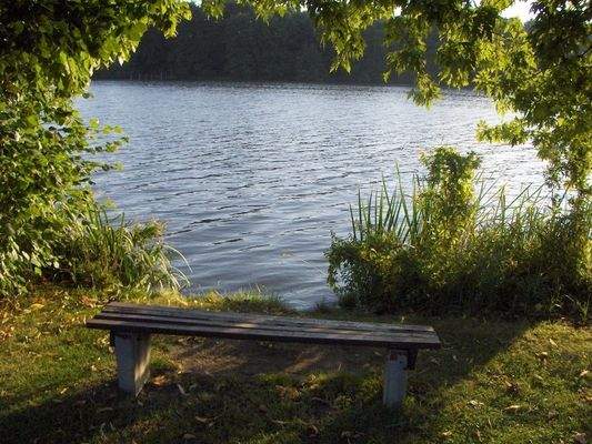 Umgebung - Mühlenteich