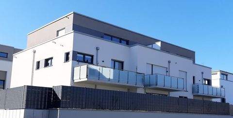 Brühl Wohnungen, Brühl Wohnung mieten