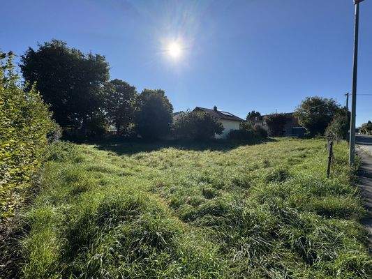 Impressionen des Grundstücks