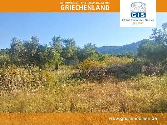 gut bebaubares Grundstück