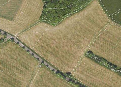 Freiensteinau Bauernhöfe, Landwirtschaft, Freiensteinau Forstwirtschaft