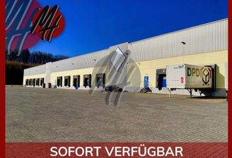 INFOS UNTER: 06171-586000