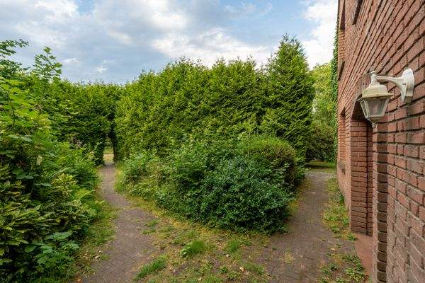 grüner Eingangsbereich.jpg