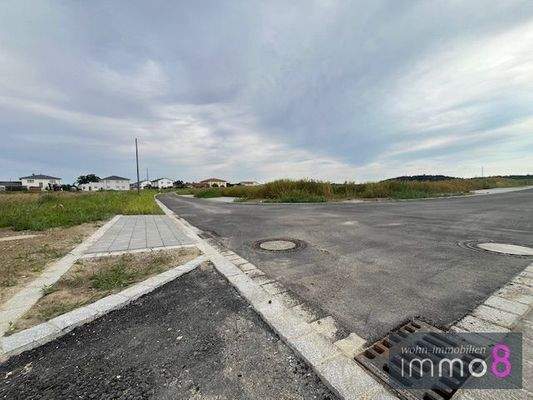 Die Nachbaschaft ist schon da