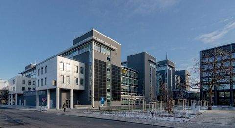 Dresden Ladenlokale, Ladenflächen 