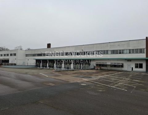 Hannover Halle, Hannover Hallenfläche