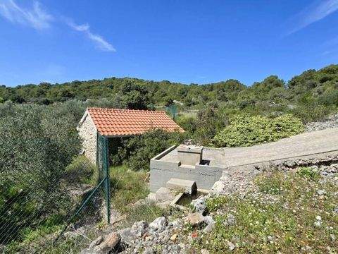 Vis Häuser, Vis Haus kaufen