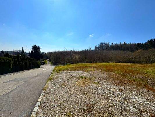 leichter Hang sorgt für Weitblick 
