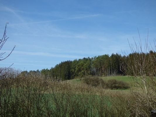 P1230691