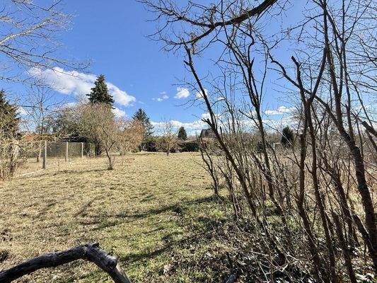 hintere Grundstücksansicht