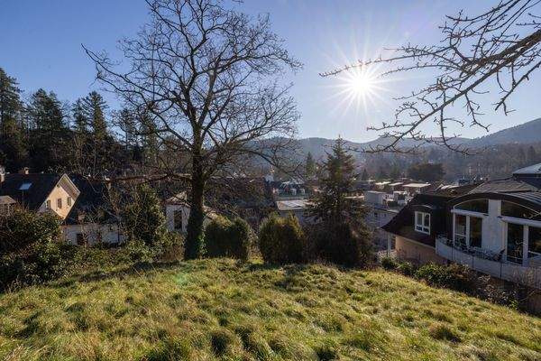 Blick vom Gemeinschaftsgarten