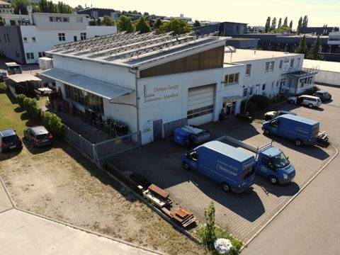 Dettingen an der Erms Halle, Dettingen an der Erms Hallenfläche