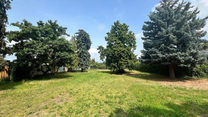 Ansicht 1 Grundstück