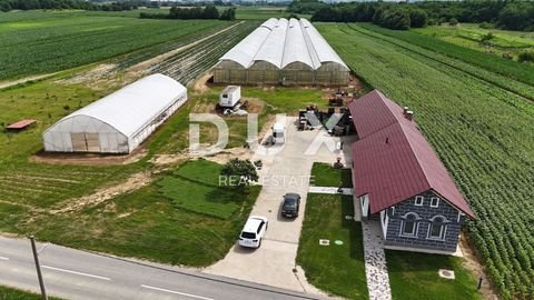 Pitomaca center Bauernhöfe, Landwirtschaft, Pitomaca center Forstwirtschaft