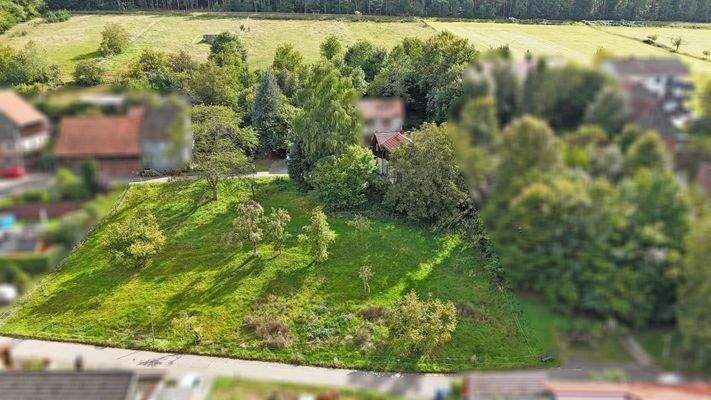 über 2.000 m² großes Grundstück - 3 weitere Bauplätze