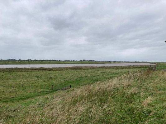 unmittelbare Eider 900 m