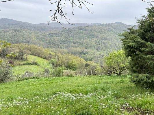 Grundstück mit Wohnhaus 