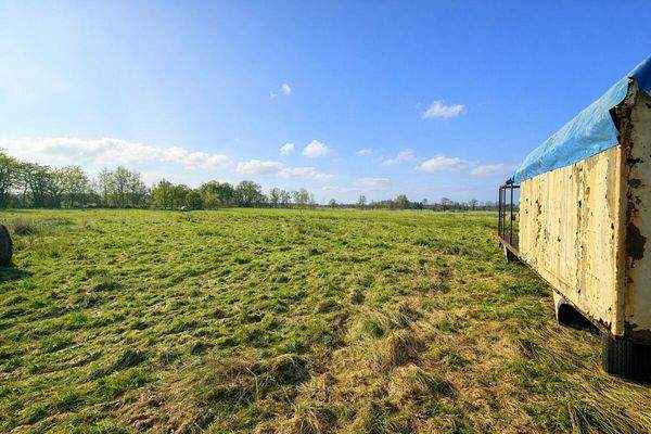 Weidefläche hinter dem Haus