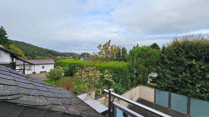 Aussicht von Terrasse (2).jpg