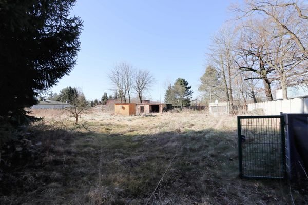 Garten vorn Eingang