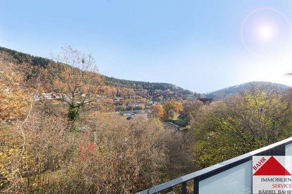 Aussicht Hauptbalkon