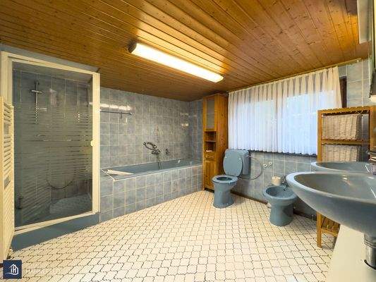 Tageslichtbad/EG/Vorderhaus