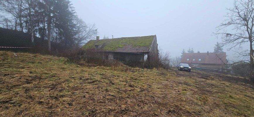 Grundstück mit Altbestand.jpg