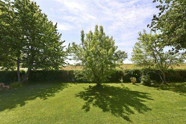 Blick in den großen Garten