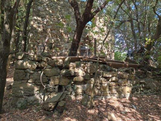 71fc324e-580c-4a0a-96b0-01a1f954641b